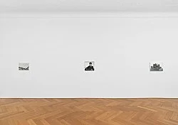 Cancelled — Caleb Considine — Exhibitions — Galerie Buchholz — Image 26