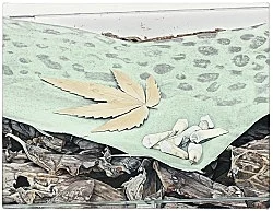 Cancelled — Caleb Considine — Exhibitions — Galerie Buchholz — Image 29