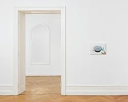 Cancelled — Caleb Considine — Exhibitions — Galerie Buchholz — Image 19