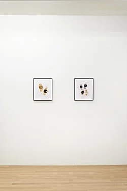 Substance — Mathias Poledna — Exhibitions — Galerie Buchholz — Image 39