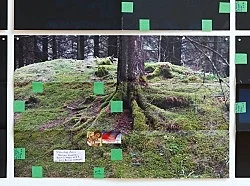 Portrait Landscape — Moyra Davey — Exhibitions — Galerie Buchholz — Image 50