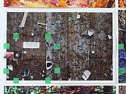 Portrait Landscape — Moyra Davey — Exhibitions — Galerie Buchholz — Image 54