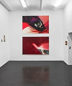 Fest — Wolfgang Tillmans — Exhibitions — Galerie Buchholz — Image 77