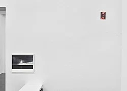 Fest — Wolfgang Tillmans — Exhibitions — Galerie Buchholz — Image 54