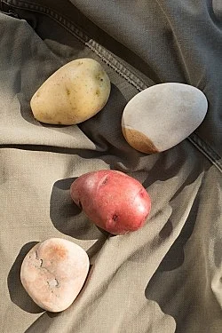 Fest — Wolfgang Tillmans — Exhibitions — Galerie Buchholz — Image 93