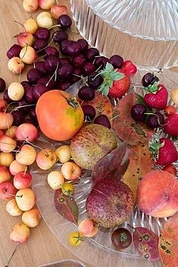 Fest — Wolfgang Tillmans — Exhibitions — Galerie Buchholz — Image 60