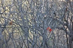 book presentation and exhibition with Moyra Davey, Thomas Eggerer, Jochen Klein, Cerith Wyn Evans, Heinz Peter Knes, Wolfgang Tillmans, Danh Vo, David Wojnarowicz, Martin Wong — In Part Writings by Julie Ault — Exhibitions — Galerie Buchholz — Image 45