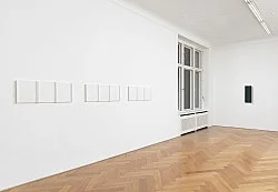 Florian Pumhösl Berlin 2018 — Florian Pumhösl — Exhibitions — Galerie Buchholz — Image 52