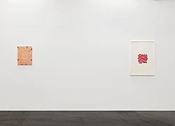 Tomma Abts 2006 Köln — Tomma Abts — Exhibitions — Galerie Buchholz — Image 33