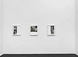 Open the Kimono — Lutz Bacher — Exhibitions — Galerie Buchholz — Image 99