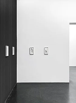 Open the Kimono — Lutz Bacher — Exhibitions — Galerie Buchholz — Image 66