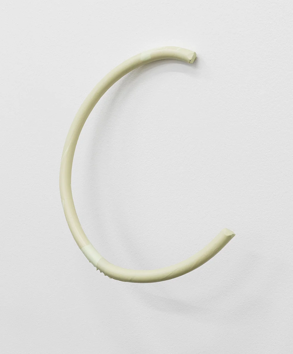Vitrine Rafraîchirée — Nairy Baghramian — Exhibitions — Galerie Buchholz — Image 37