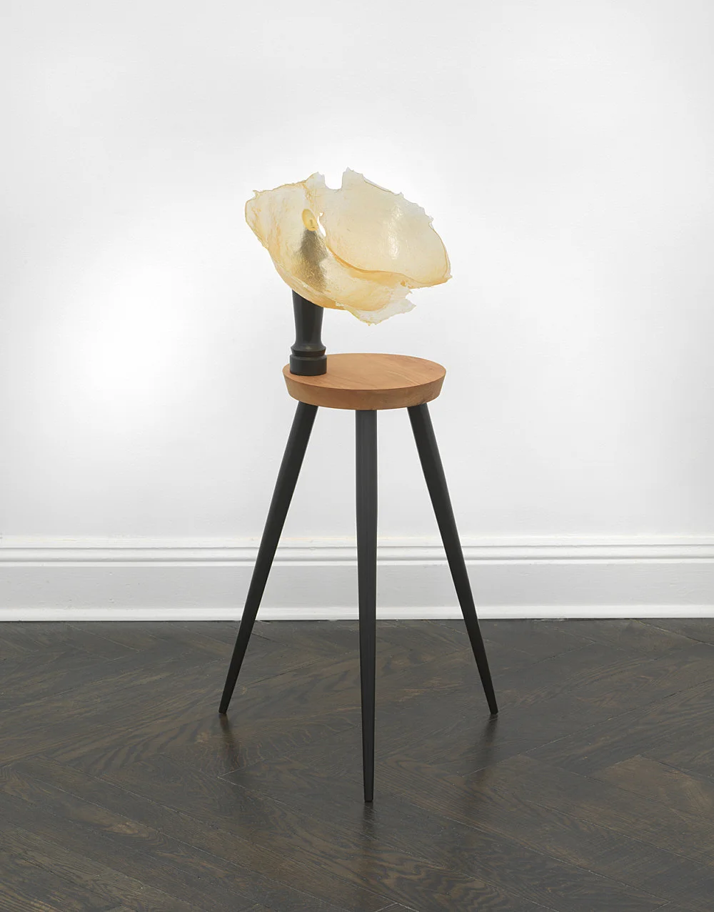 Vitrine Rafraîchirée — Nairy Baghramian — Exhibitions — Galerie Buchholz — Image 43