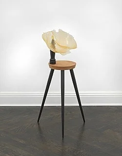 Vitrine Rafraîchirée — Nairy Baghramian — Exhibitions — Galerie Buchholz — Image 89