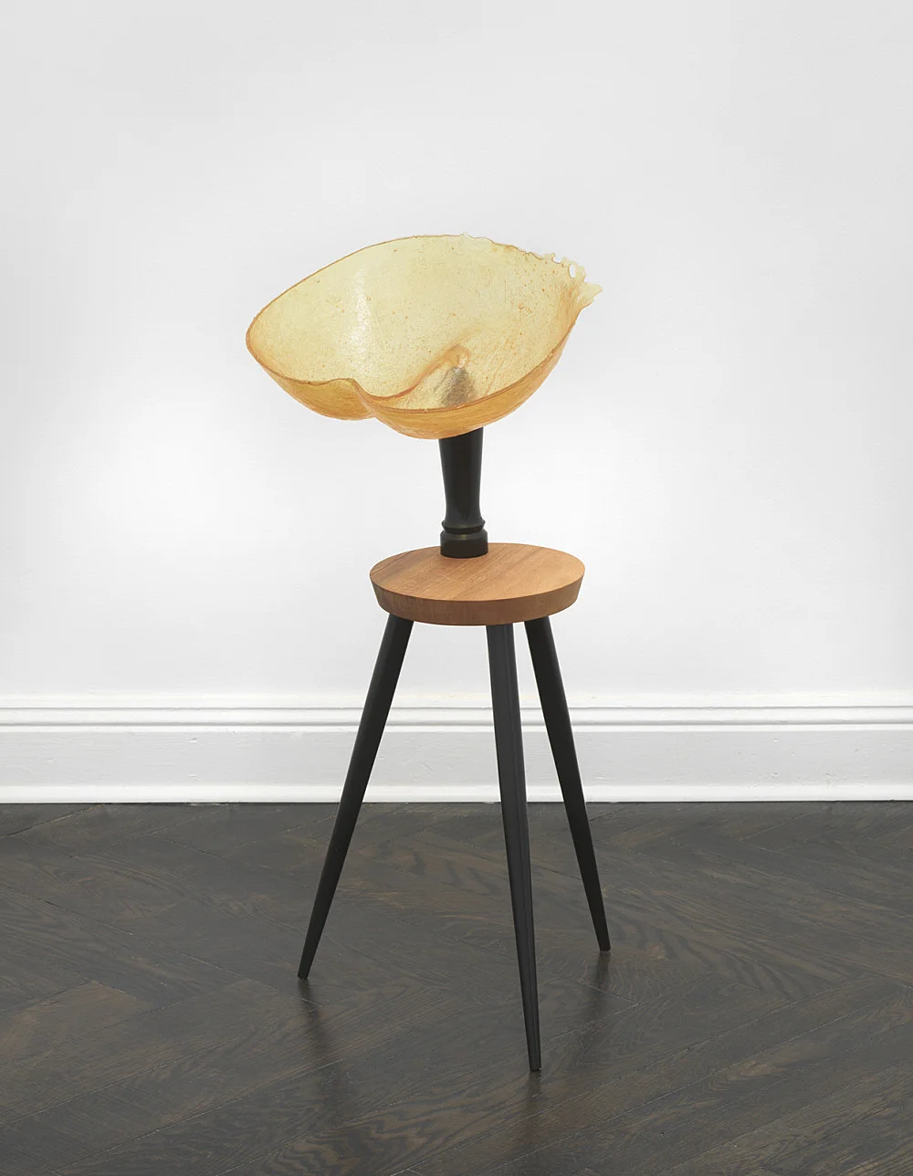 Vitrine Rafraîchirée — Nairy Baghramian — Exhibitions — Galerie Buchholz — Image 44