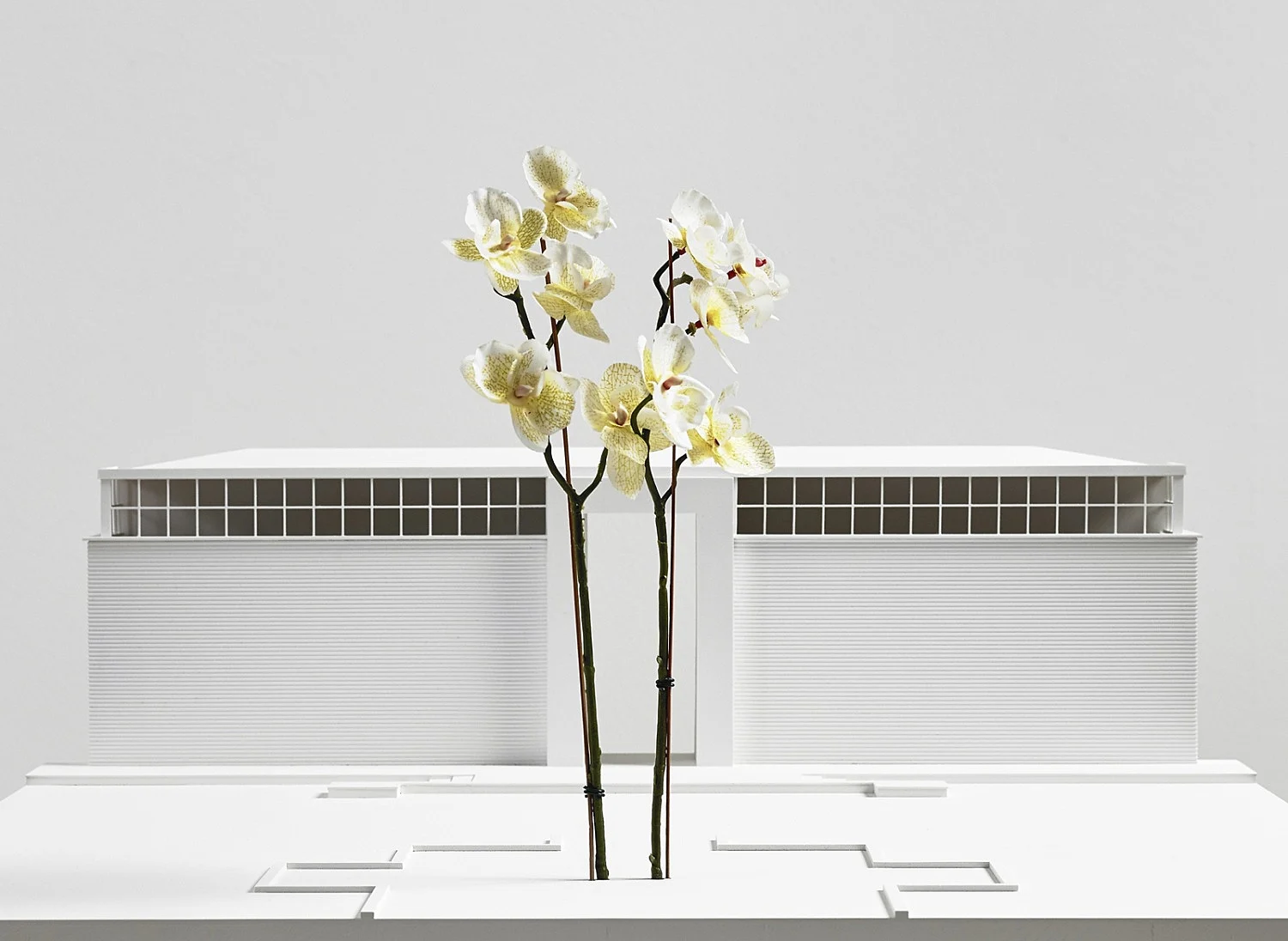 Außenprojekte — Isa Genzken — Exhibitions — Galerie Buchholz — Image 85