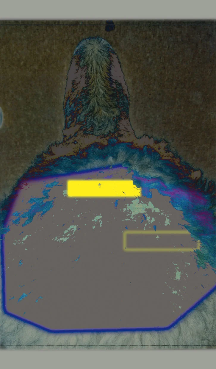 Trisha Donnelly Köln 2018 — Trisha Donnelly — Exhibitions — Galerie Buchholz — Image 01