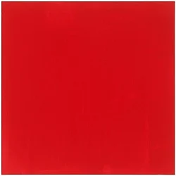 Go to the window — Mayo Thompson — Exhibitions — Galerie Buchholz — Image 69