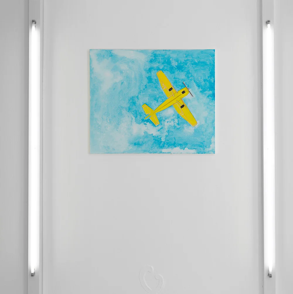 Go to the window — Mayo Thompson — Exhibitions — Galerie Buchholz — Image 26