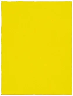 Go to the window — Mayo Thompson — Exhibitions — Galerie Buchholz — Image 84