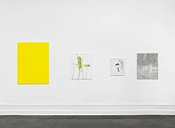 Go to the window — Mayo Thompson — Exhibitions — Galerie Buchholz — Image 52