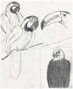 Go to the window — Mayo Thompson — Exhibitions — Galerie Buchholz — Image 91