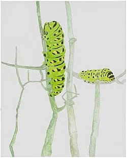 Go to the window — Mayo Thompson — Exhibitions — Galerie Buchholz — Image 54