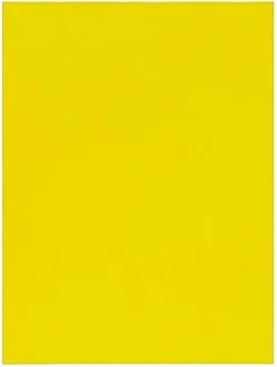 Go to the window — Mayo Thompson — Exhibitions — Galerie Buchholz — Image 53