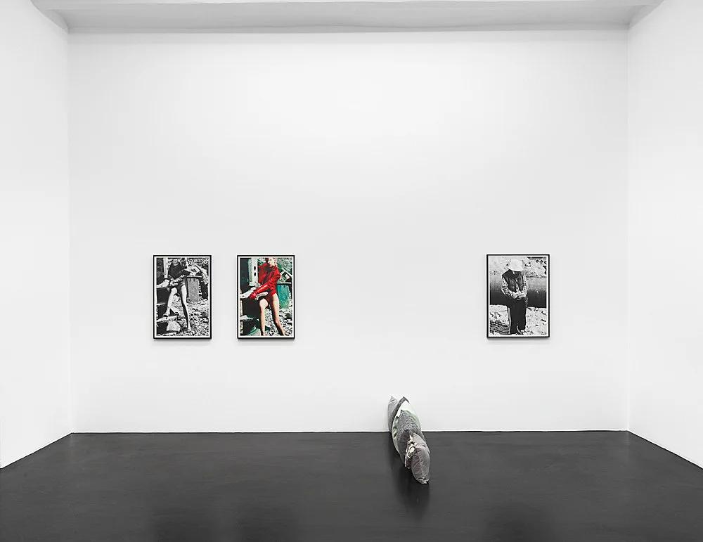 Ritrattod8217uncapelloinquietante — Julien CeccaldiNicolas CeccaldiMathieu MaloufHeji Shin — Exhibitions — Galerie Buchholz — Image 00