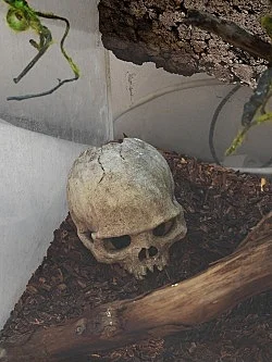 Imagine — Anne Imhof — Exhibitions — Galerie Buchholz — Image 64