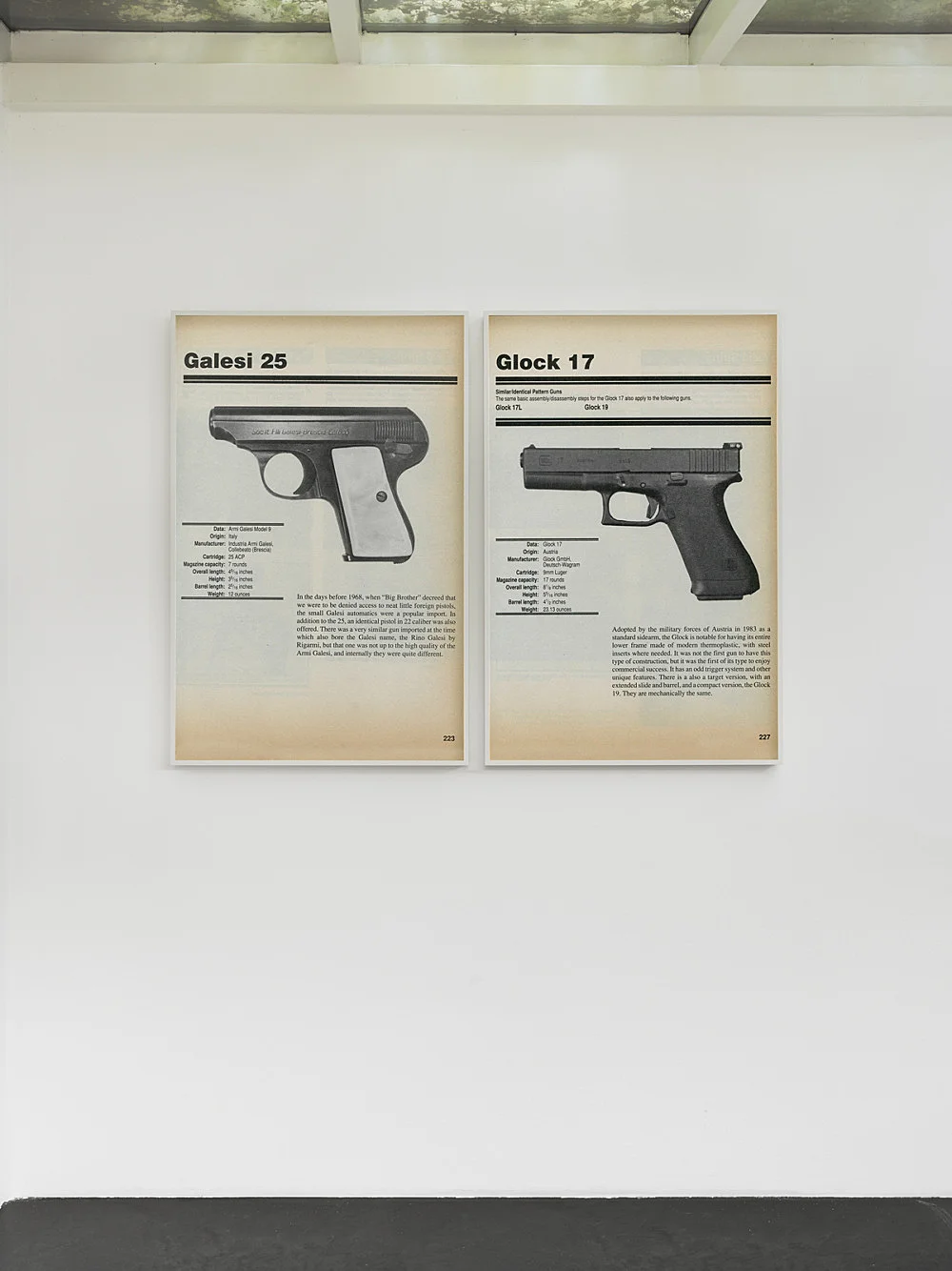FIREARMS — Lutz Bacher — Exhibitions — Galerie Buchholz — Image 13