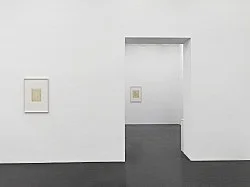 Florian Pumhösl 2013 Neven-DuMont-Straße — Florian Pumhösl — Exhibitions — Galerie Buchholz — Image 46