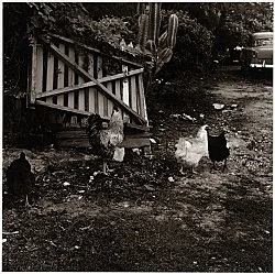 Moyra Davey Peter Hujar - Berlin 2020 — Moyra Davey Peter Hujar — Exhibitions — Galerie Buchholz — Image 94