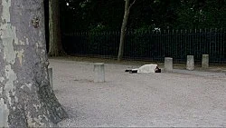 Indifference — Mathias Poledna — Exhibitions — Galerie Buchholz — Image 62