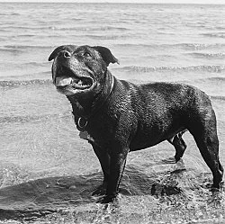 Moyra Davey Peter Hujar - Berlin 2020 — Moyra Davey Peter Hujar — Exhibitions — Galerie Buchholz — Image 103