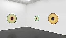 Visualities — Ulla Wiggen — Exhibitions — Galerie Buchholz — Image 23