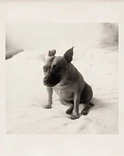 Moyra Davey Peter Hujar - Berlin 2020 — Moyra Davey Peter Hujar — Exhibitions — Galerie Buchholz — Image 131