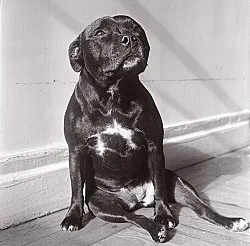 Moyra Davey Peter Hujar - Berlin 2020 — Moyra Davey Peter Hujar — Exhibitions — Galerie Buchholz — Image 133