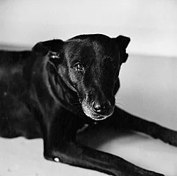 Moyra Davey Peter Hujar - Berlin 2020 — Moyra Davey Peter Hujar — Exhibitions — Galerie Buchholz — Image 80