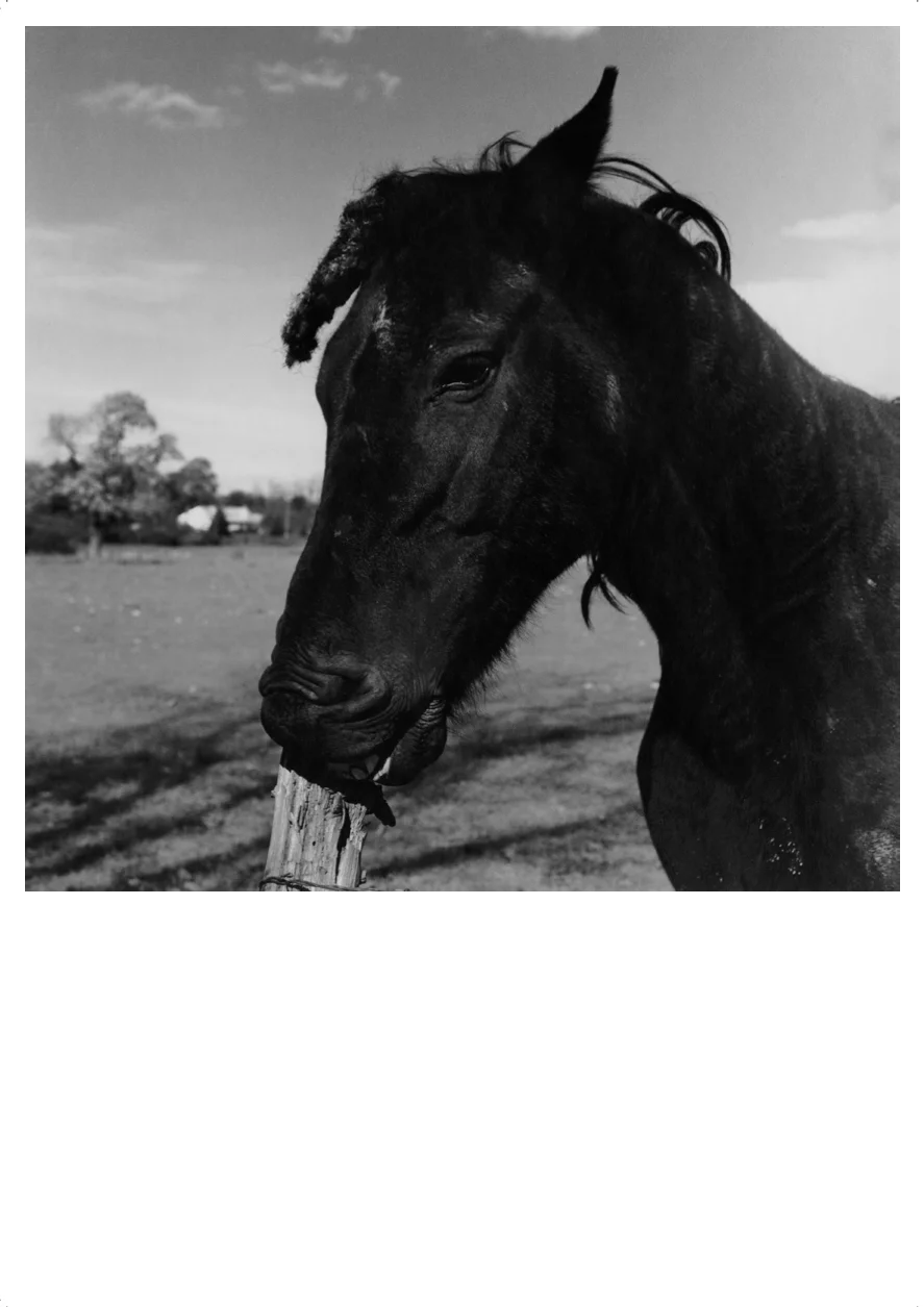 Moyra Davey Peter Hujar - Berlin 2020 — Moyra Davey Peter Hujar — Exhibitions — Galerie Buchholz — Image 01