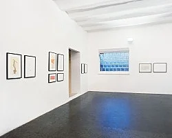 Larry Johnson Cologne 1998 — Larry Johnson — Exhibitions — Galerie Buchholz — Image 15