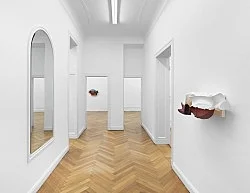 Vincent Fecteau Berlin 2020 — Vincent Fecteau — Exhibitions — Galerie Buchholz — Image 62