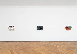 Vincent Fecteau Berlin 2020 — Vincent Fecteau — Exhibitions — Galerie Buchholz — Image 92