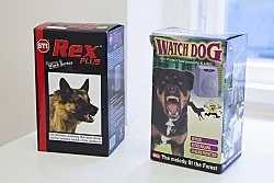 Spaulings Berlin 2010 — Reena Spaulings — Exhibitions — Galerie Buchholz — Image 15