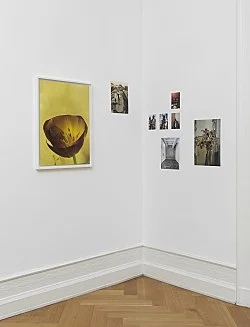 Wolfgang Tillmans Berlin 2020 — Wolfgang Tillmans — Exhibitions — Galerie Buchholz — Image 92