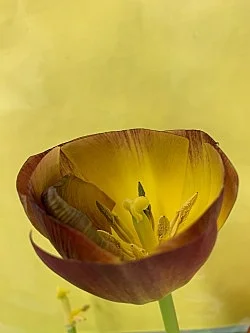 Wolfgang Tillmans Berlin 2020 — Wolfgang Tillmans — Exhibitions — Galerie Buchholz — Image 93