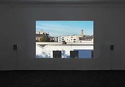 Wolfgang Tillmans Berlin 2020 — Wolfgang Tillmans — Exhibitions — Galerie Buchholz — Image 104