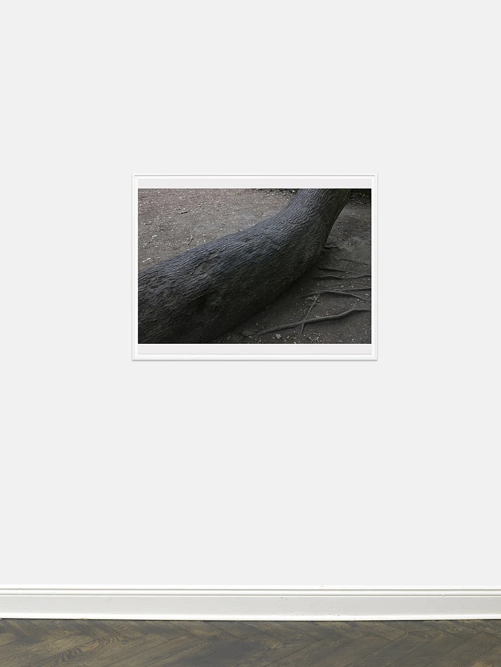 Wolfgang Tillmans Berlin 2020 — Wolfgang Tillmans — Exhibitions — Galerie Buchholz — Image 45