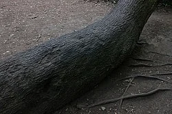 Wolfgang Tillmans Berlin 2020 — Wolfgang Tillmans — Exhibitions — Galerie Buchholz — Image 111