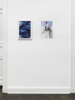 Wolfgang Tillmans Berlin 2020 — Wolfgang Tillmans — Exhibitions — Galerie Buchholz — Image 115